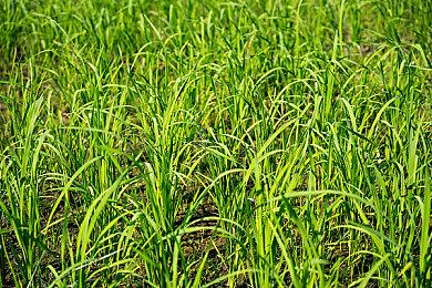 ADV《86年四月》上架steam 普里皮亚季惊悚之旅