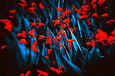 科隆游戏展开幕之夜宣传片：《黑神话》猴哥霸气