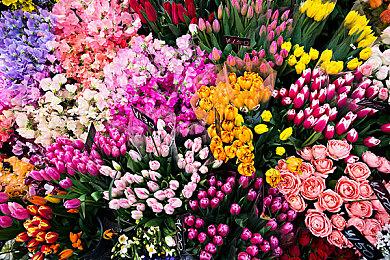 《Drakantos》steam页面上线 免费复古像素风MMORPG